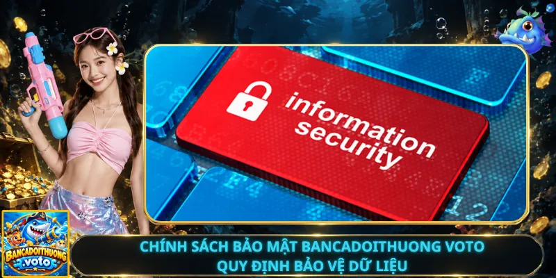 Chính Sách Bảo Mật Bancadoithuong Voto – Quy Định Bảo Vệ Dữ Liệu
