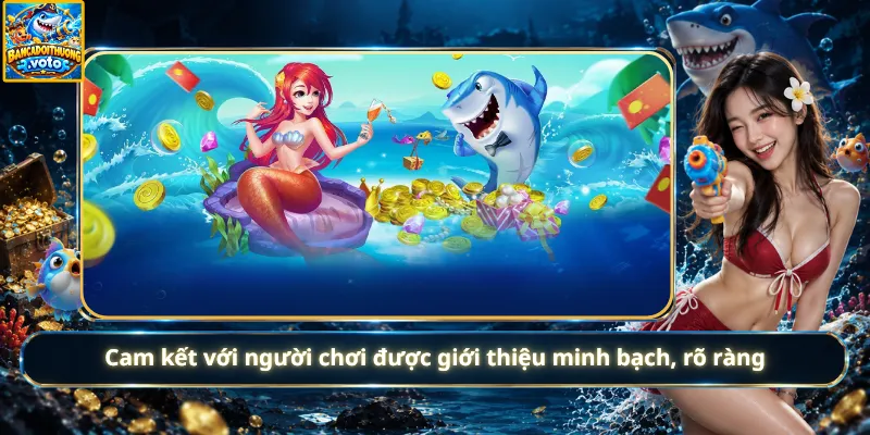 Cam kết với người chơi được giới thiệu minh bạch, rõ ràng