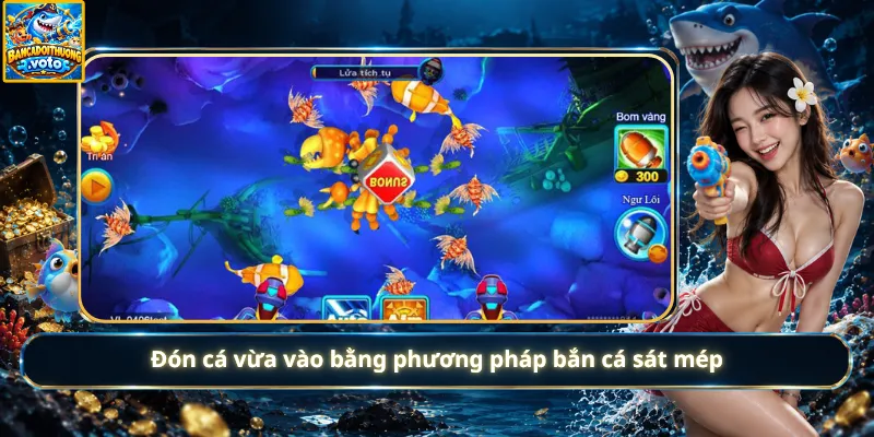 Đón cá vừa vào bằng phương pháp bắn cá sát mép